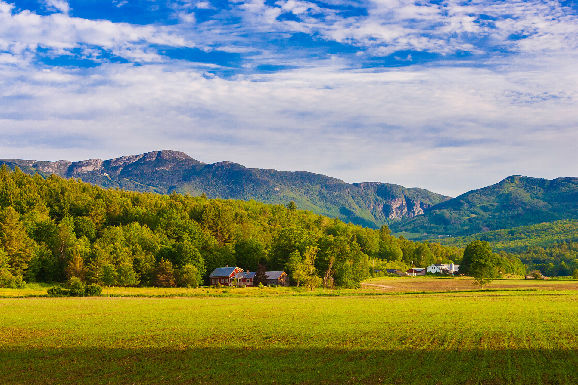 Brightly colored photo showing a pasture and farmhouses in front of a line of trees, with mountains in the background -- all under a partly cloudy blue sky.